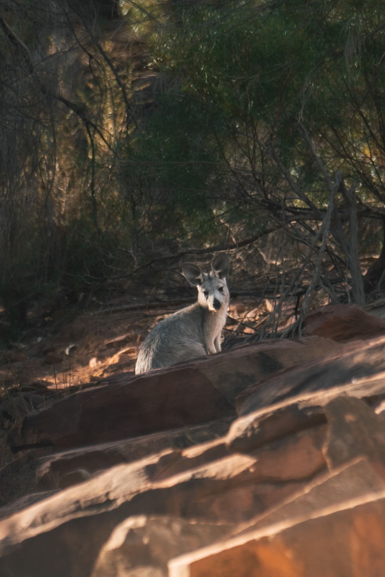 010_SONYAUSTRALIA_240418_A1_4288