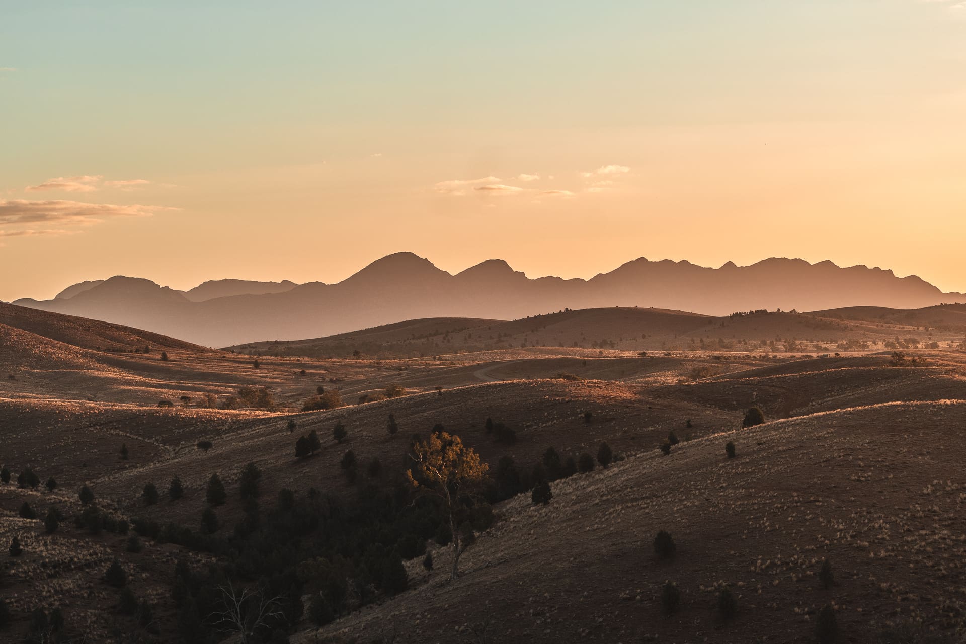 034_SONYAUSTRALIA_240419_A7_6196