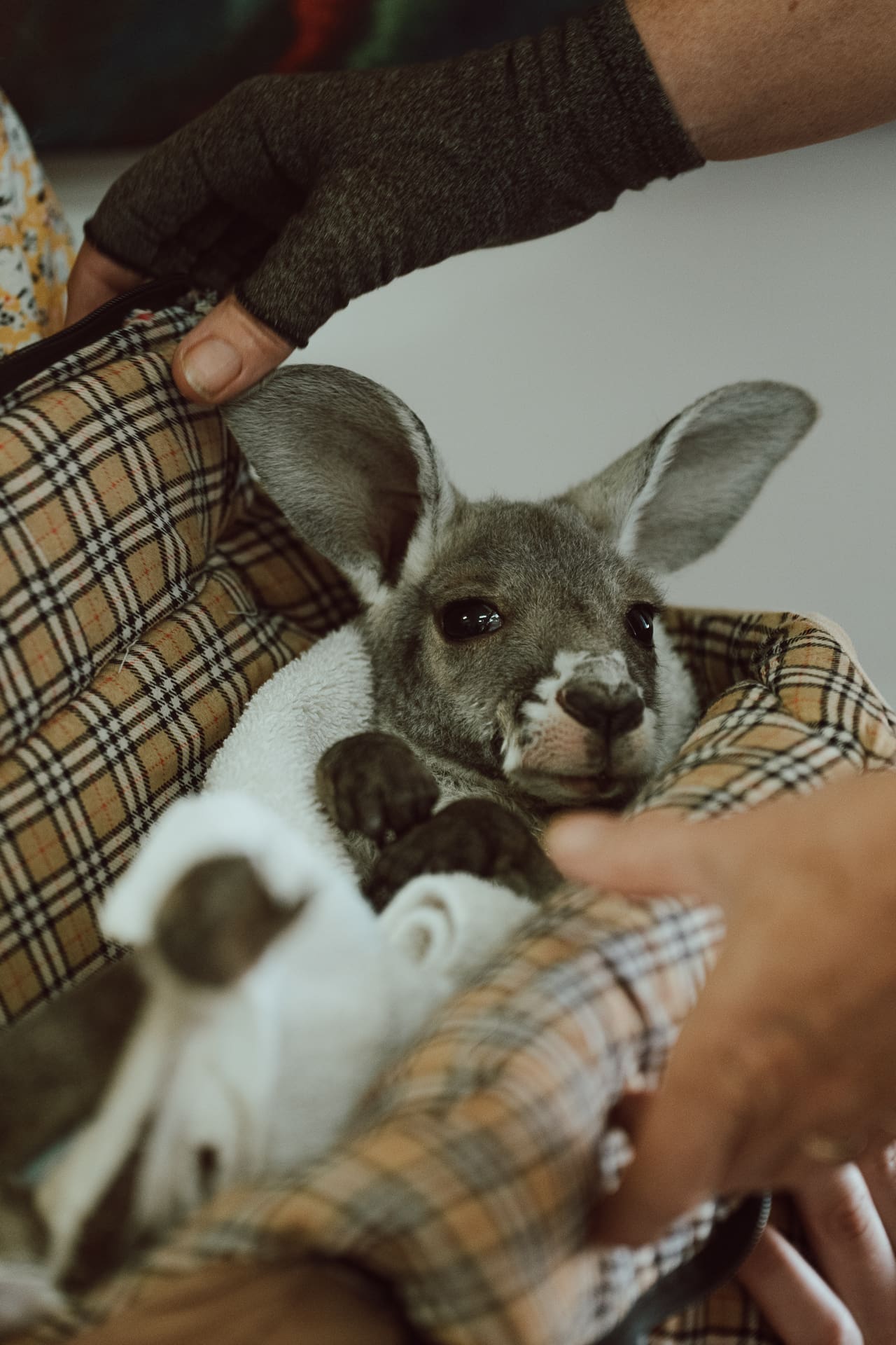 053_SONYAUSTRALIA_240421_A1_6295