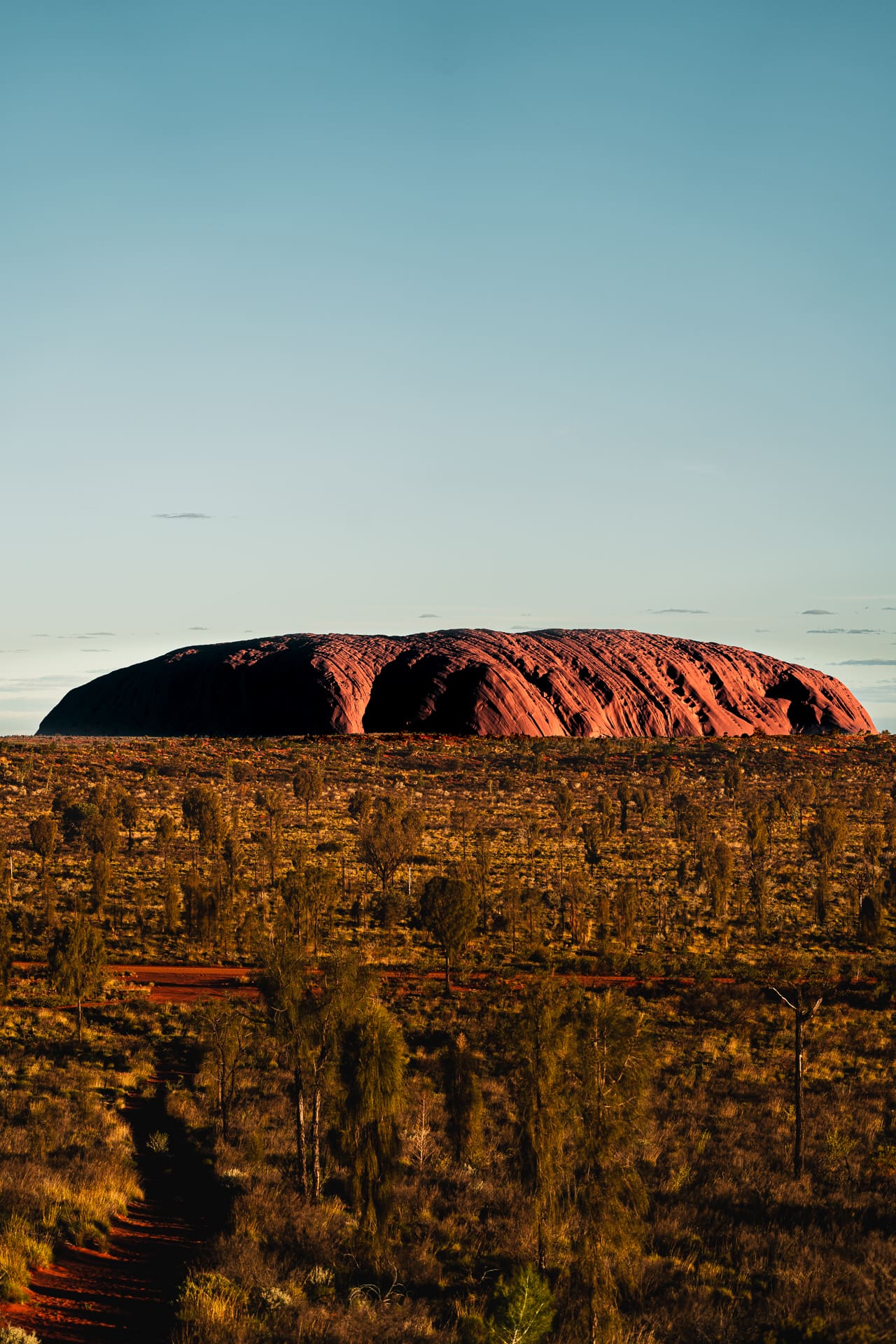 102_SONYAUSTRALIA_240423_A7_7167