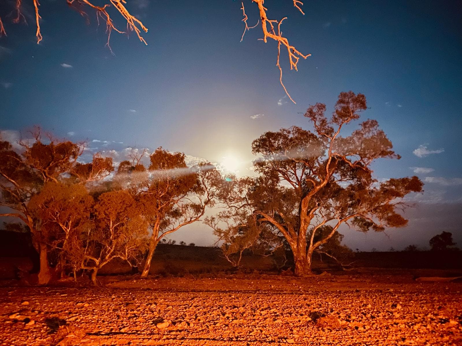 WhatsApp Image 2025-04-22 at 12.24.44