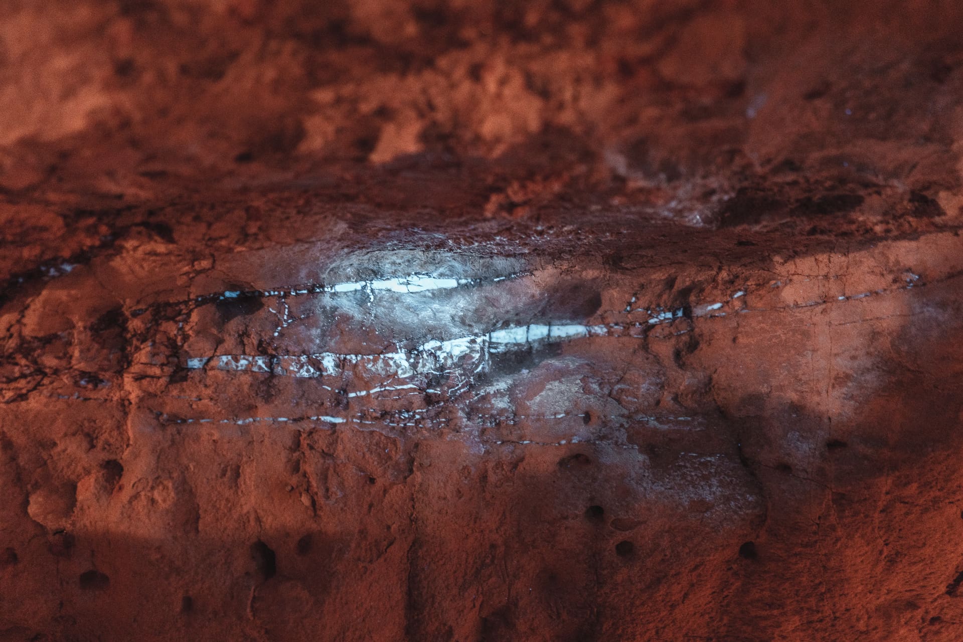 048_SONYAUSTRALIA_240421_A7_6444