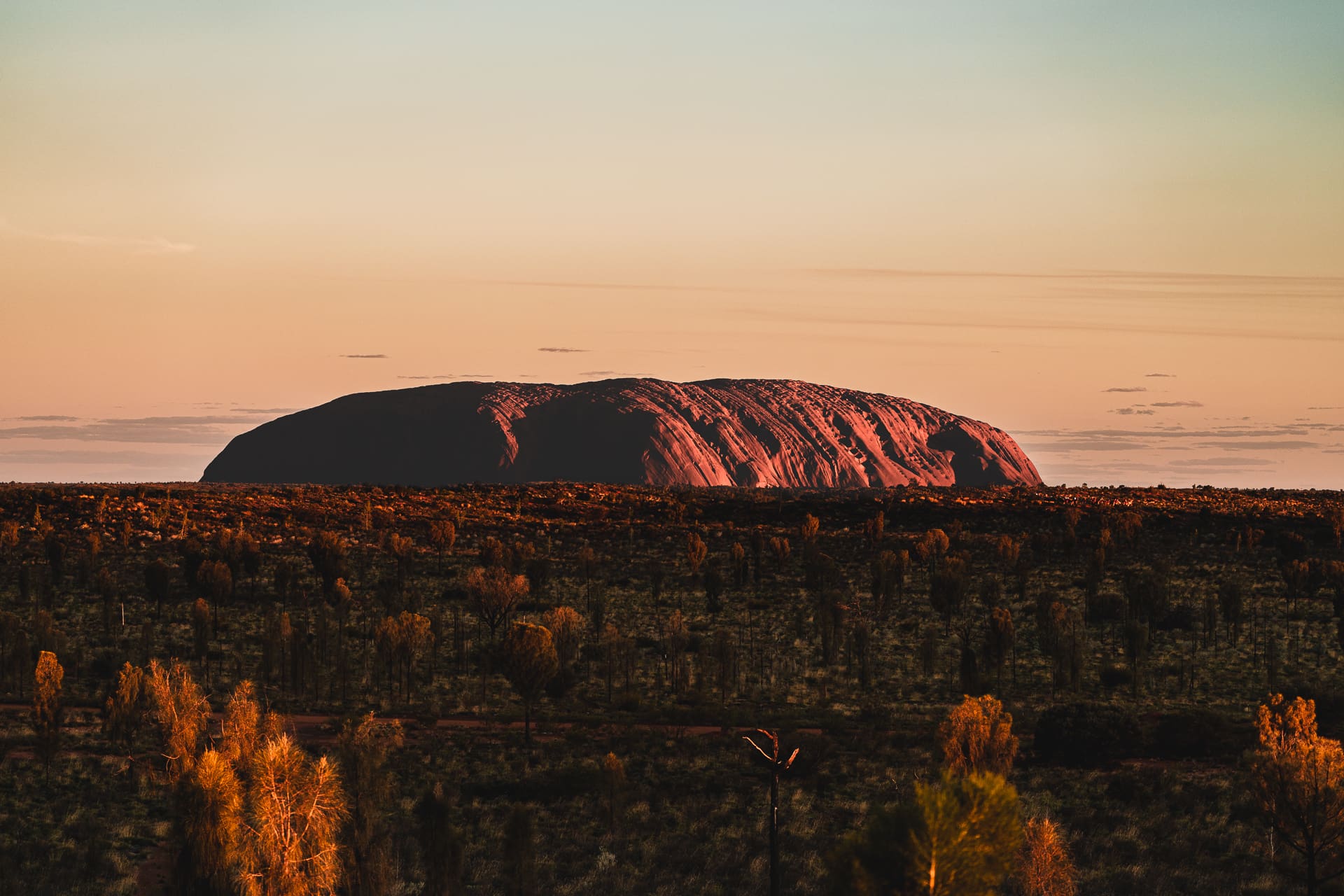 104_SONYAUSTRALIA_240423_A7_7205