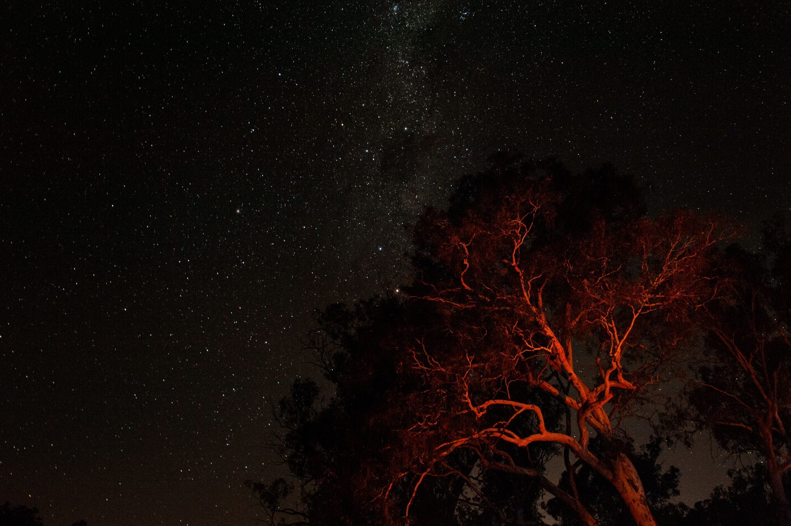 Second Featured Image