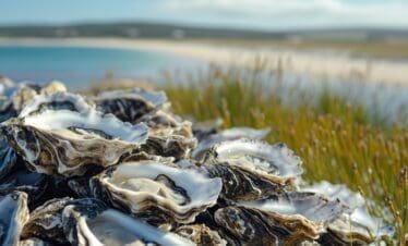 A Bite of the Bight